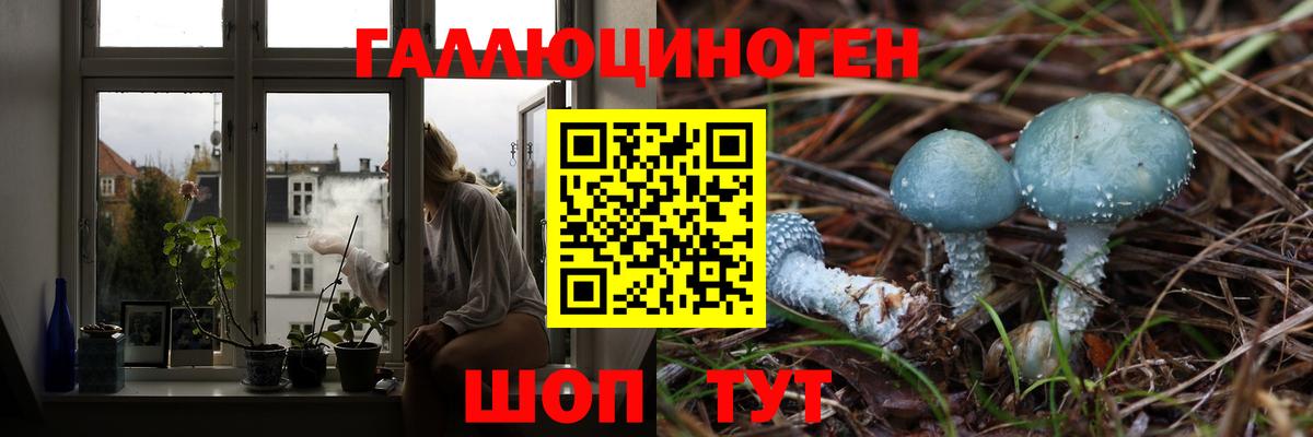 Йошкар-Ола  Галлюциногенные грибы Magic Shrooms  купить  цена  Вход с VPN 